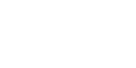 ProtoFlow 